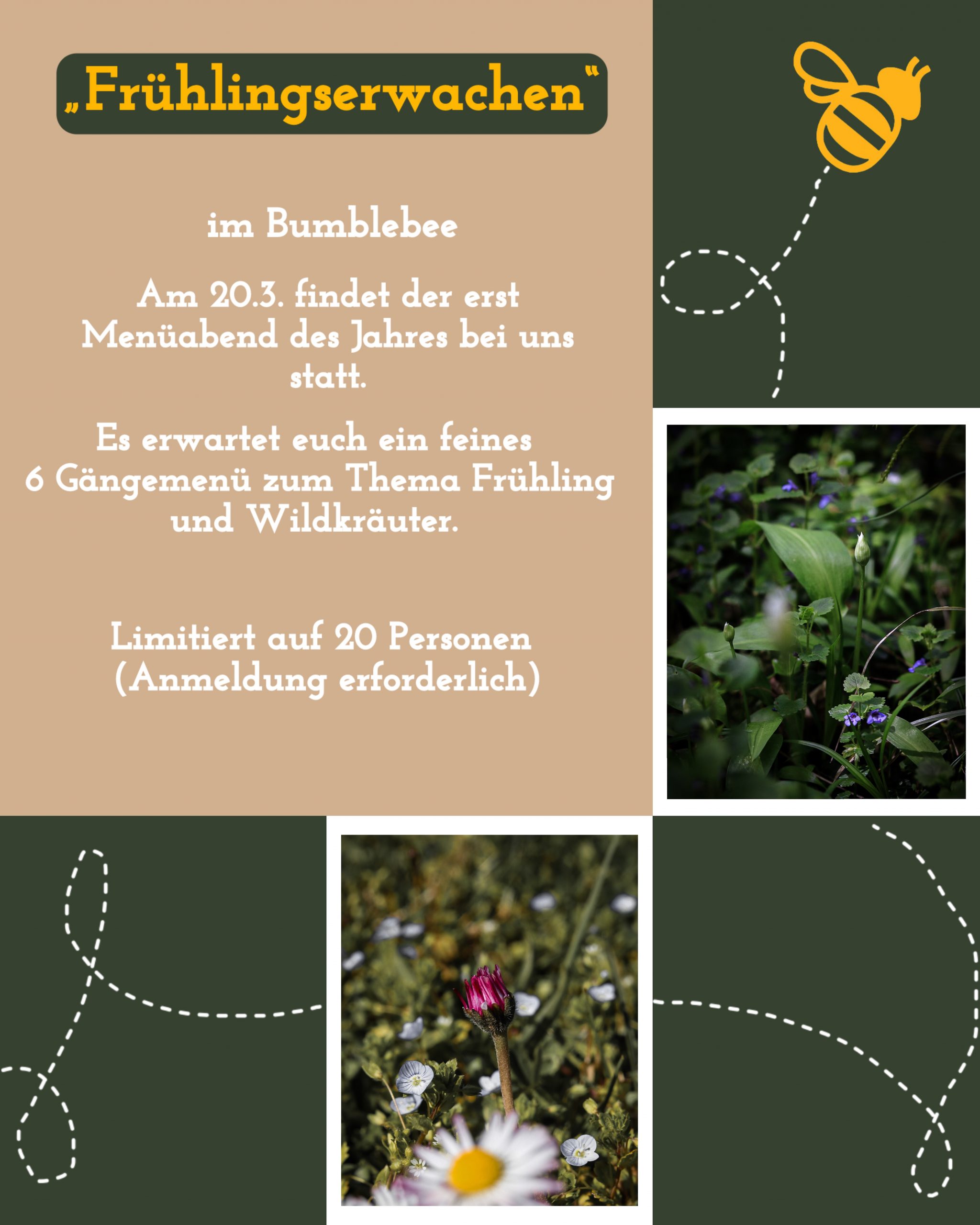 Frühlingserwachen 20.3.26